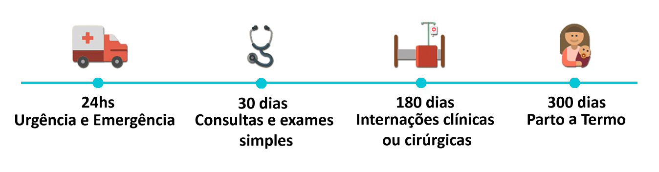 Plano de Saúde Humana Carências